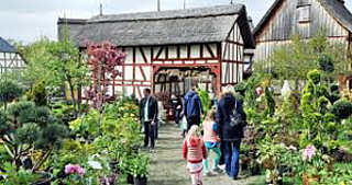 Pflanzenmarkt