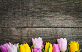 Nauheimer Frühlingsmesse