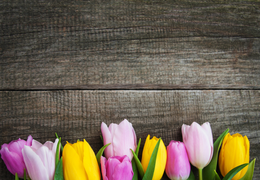 Nauheimer Frühlingsmesse