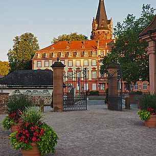 Schloss Erbach