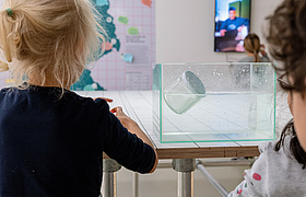 Der kleine Wettersamstag