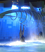 Freizeitbad Rheinwelle