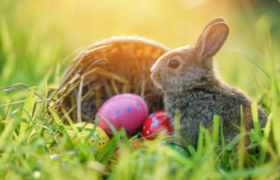 Oster-Event auf dem Eichhof