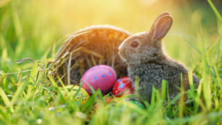 Oster-Event auf dem Eichhof