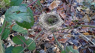 Naturentdecker unterwegs