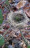Naturentdecker unterwegs