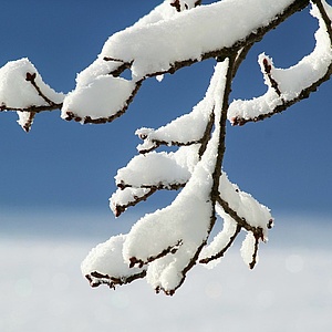 Freie Plätze im Winterferienprogramm