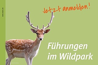 Gonsenheimer Wildpark-Führung Mainz-Gonsenheim