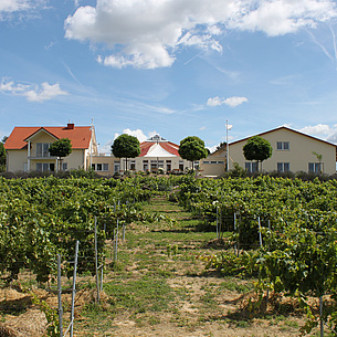 Winzerfamilie Peter-Dhom