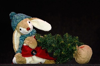 Abgesagt: Kuschel hilft dem Weihnachtsmann
