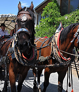 Kinderfest Domäne Mechtildshausen