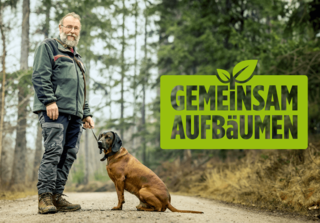 Waldaktionstag für die ganze Familie