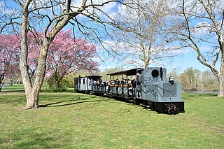 Teddy-Fahrtag im Frankfurter Feldbahnmuseum
