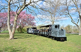 Teddy-Fahrtag im Frankfurter Feldbahnmuseum