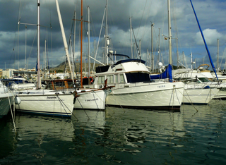 Tag der offenen Tür - Wassersportverein Schierstein