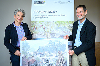 Neugestaltung des Zoo Frankfurt