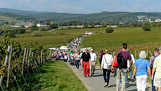 NATUR PUR in der Hattenheimer Flur