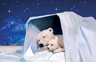 Der kleine Eisbär