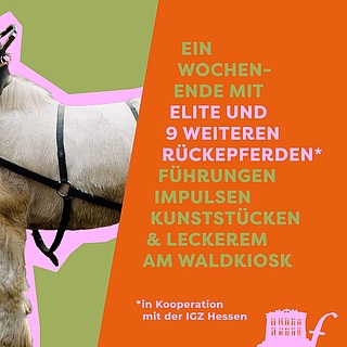 Zugpferd-Festival