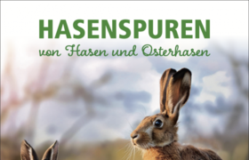 Dreieich-Museum: Hasenspuren – von Hasen und Osterhasen