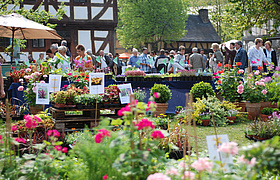 Pflanzenmarkt im Frühling