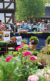 Pflanzenmarkt im Frühling