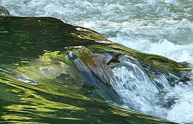 Wasserforscher