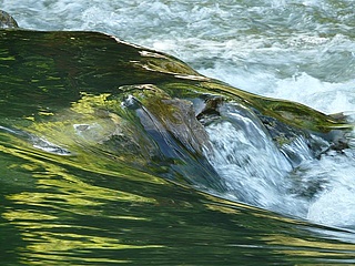 Wasserforscher