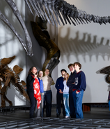 Senckenberg Naturmuseum Frankfurt
