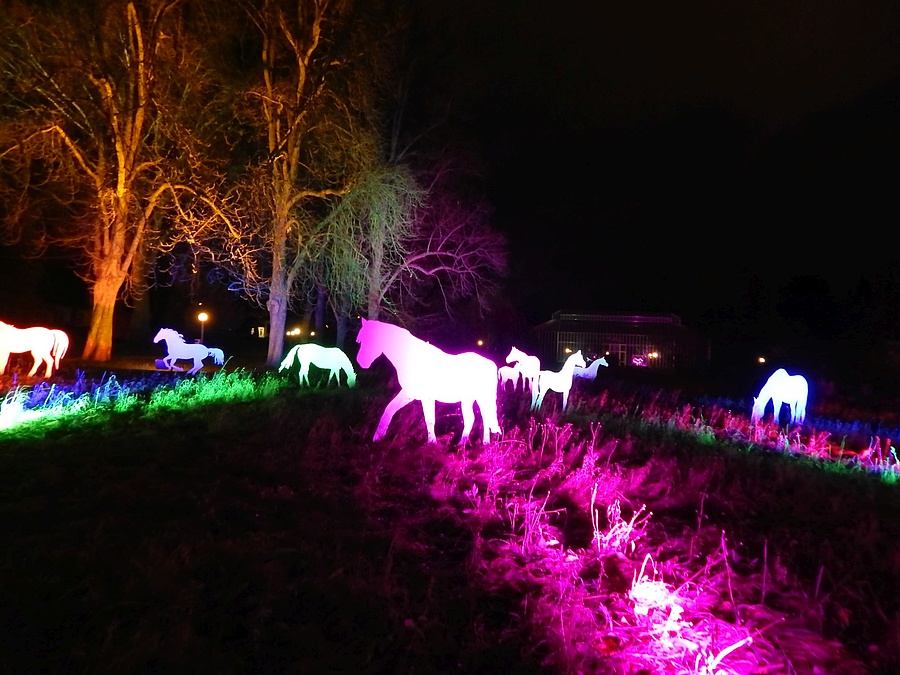 Entdeckt Die Veranstaltung Winterlichter In Frankfurt Am Main