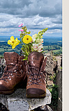 Globetrotter Wandertage - Hoherodskopf