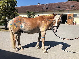 Integrative Ponyspiele in den Osterferien