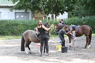 Ponyreiten