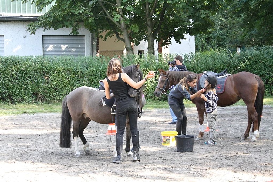 Entdeckt die Veranstaltung Ponyreiten in Frankfurt - RheinMain4Family