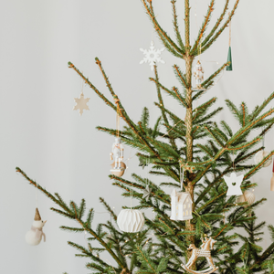 Zoo Vivarium Darmstadt nimmt am 9. Januar 2026 wieder Bio Weihnachtsbäume an