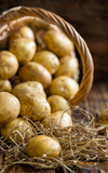 Kartoffel- und Kürbisfest