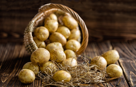 Kartoffel- und Kürbisfest