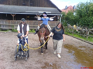 Pferdegeflüster 