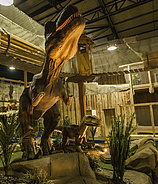 Dino Adventure Park