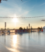 Winterwelt auf dem Hofgut Laubenheimer Höhe