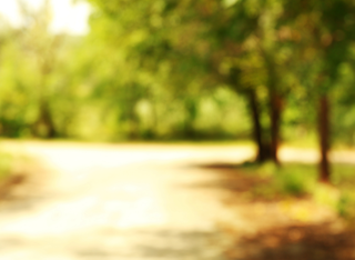 Frankfurt: NaturLotsen starten in die neue Saison – Ausflugsziel für Familien im Grünen