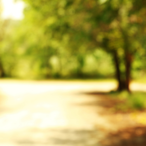 Frankfurt: NaturLotsen starten in die neue Saison – Ausflugsziel für Familien im Grünen