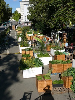 Gartenrundgang: So läuft das bei uns