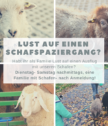 Tierischer Spaß in der Natur
