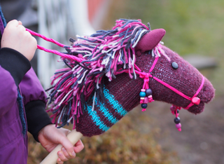 Deutsche Meisterschaft im Hobby Horsing