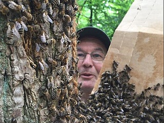Bienenfest im Schloß Freudenberg