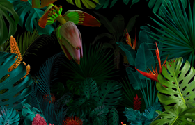 Purim Dschungel Party