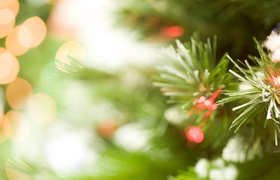 Weihnachtliche Stimmung im Frankfurter Stadtwald