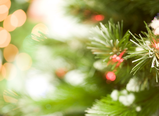 Weihnachtliche Stimmung im Frankfurter Stadtwald