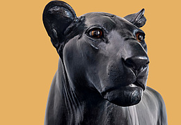 Ausstellung: Tiere sind auch nur Menschen